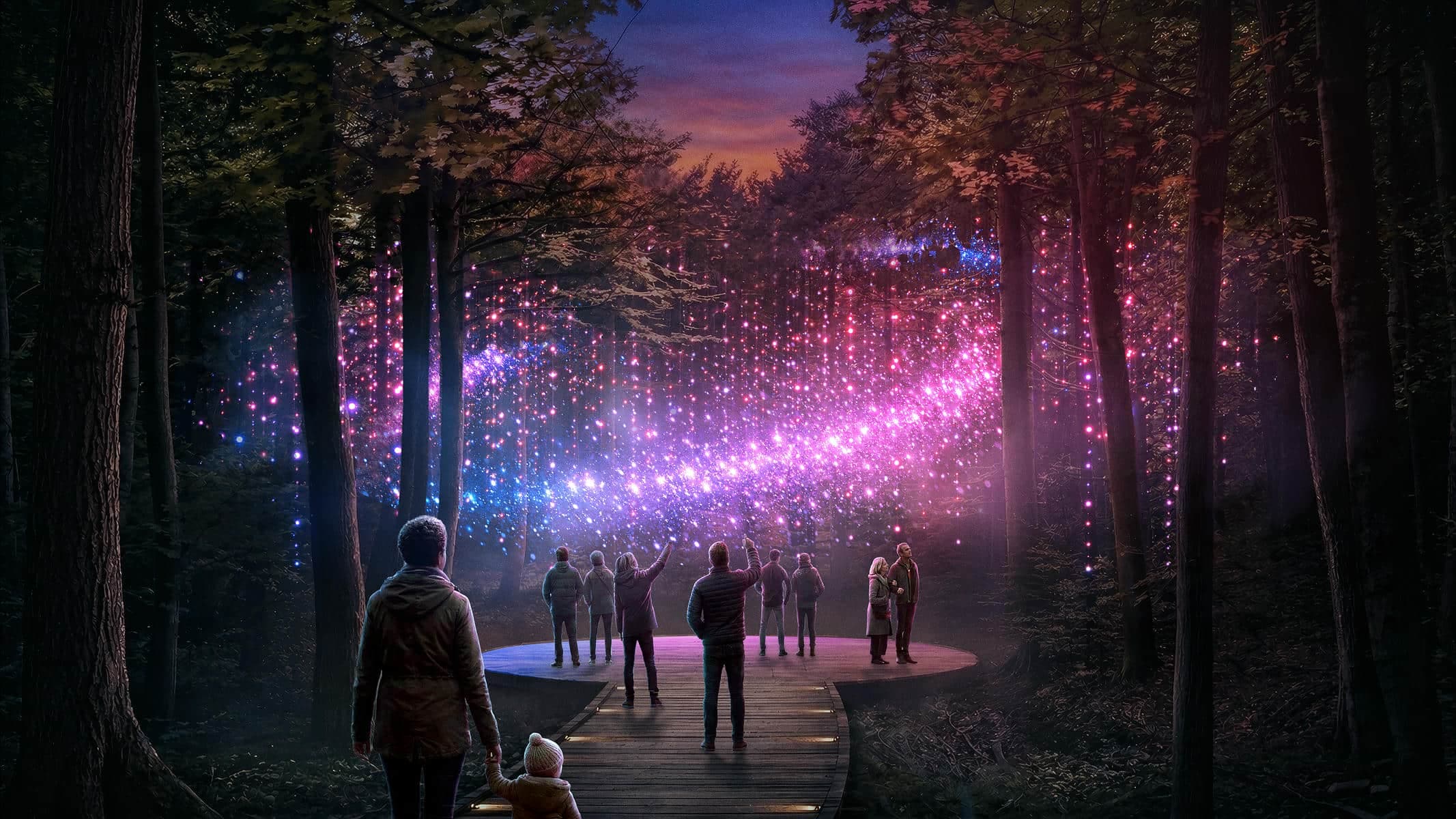 Lumina - Parcours nocturnes enchantés