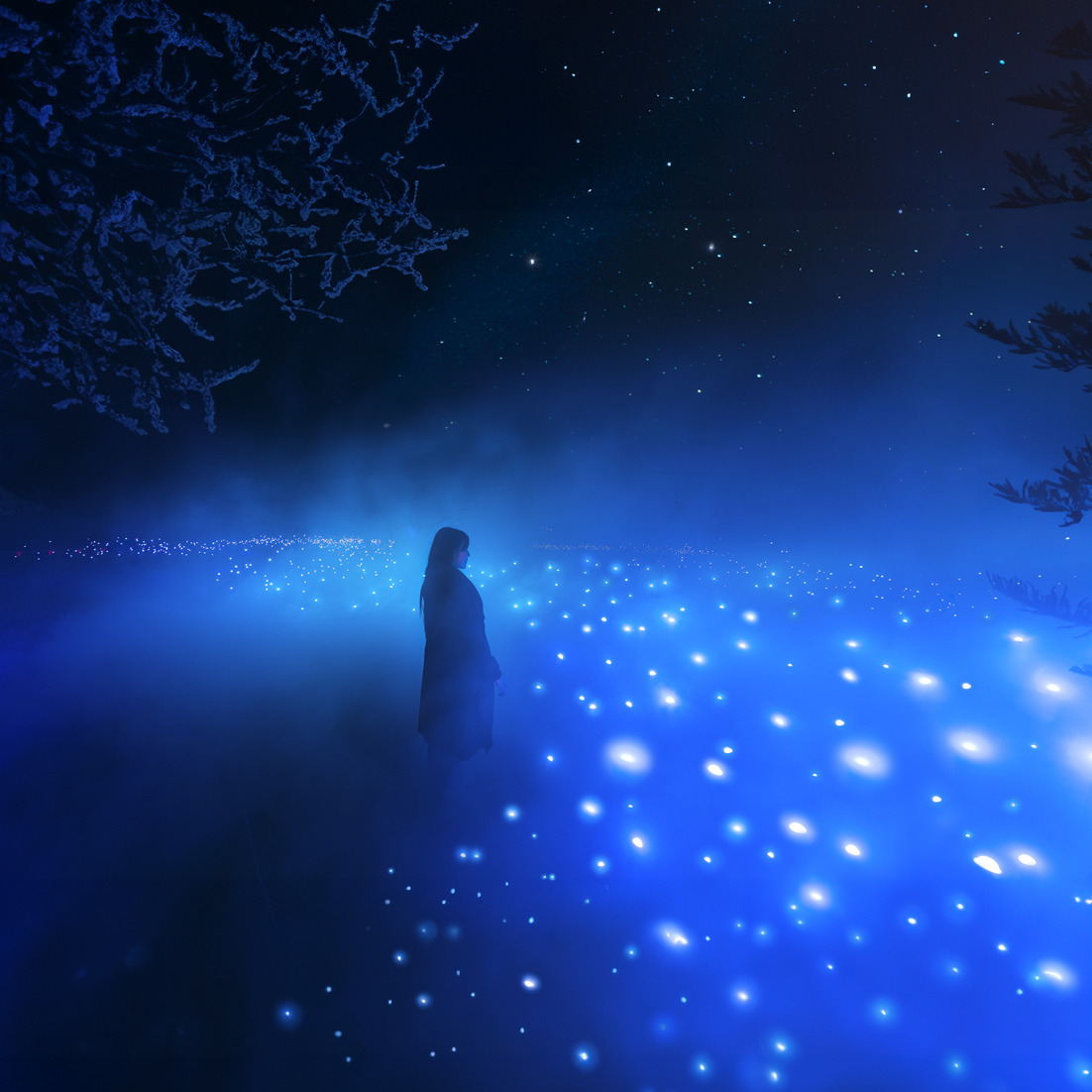 Lumina - Parcours nocturnes enchantés